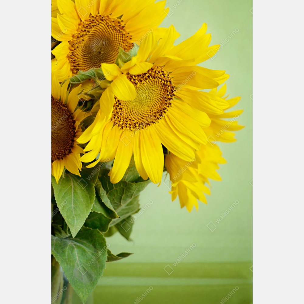 Repositionierbarer Aufkleber heller sonnenblumenstrauß auf grünem hintergrund – Wallnifity® Repositionierbarer Aufkleber heller sonnenblumenstrauß auf grünem hintergrund – Wallnifity®