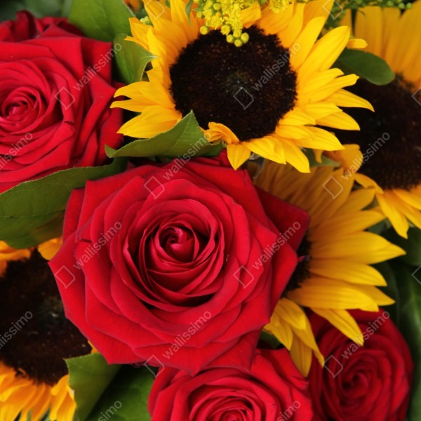 Repositionierbarer Aufkleber rote rosen und sonnenblumen im bukett – Wallnifity® Repositionierbarer Aufkleber rote rosen und sonnenblumen im bukett – Wallnifity®