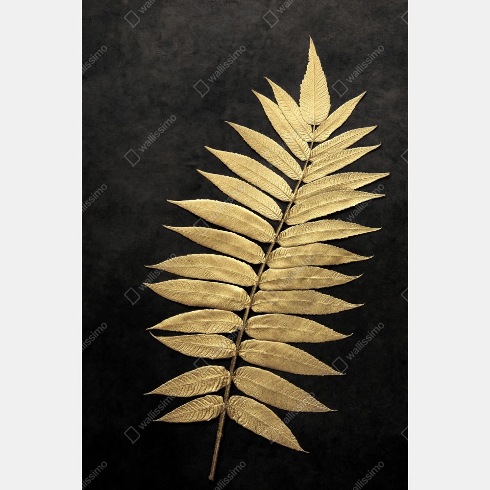 Repositionierbarer Aufkleber goldener farn vor dunklem hintergrund – Wallnifity® Repositionierbarer Aufkleber goldener farn vor dunklem hintergrund – Wallnifity®