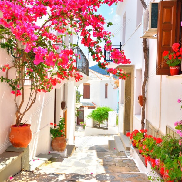 Repositionierbarer Aufkleber sonnige mediterrane gasse mit bougainvillea – Wallnifity® Repositionierbarer Aufkleber sonnige mediterrane gasse mit bougainvillea – Wallnifity®