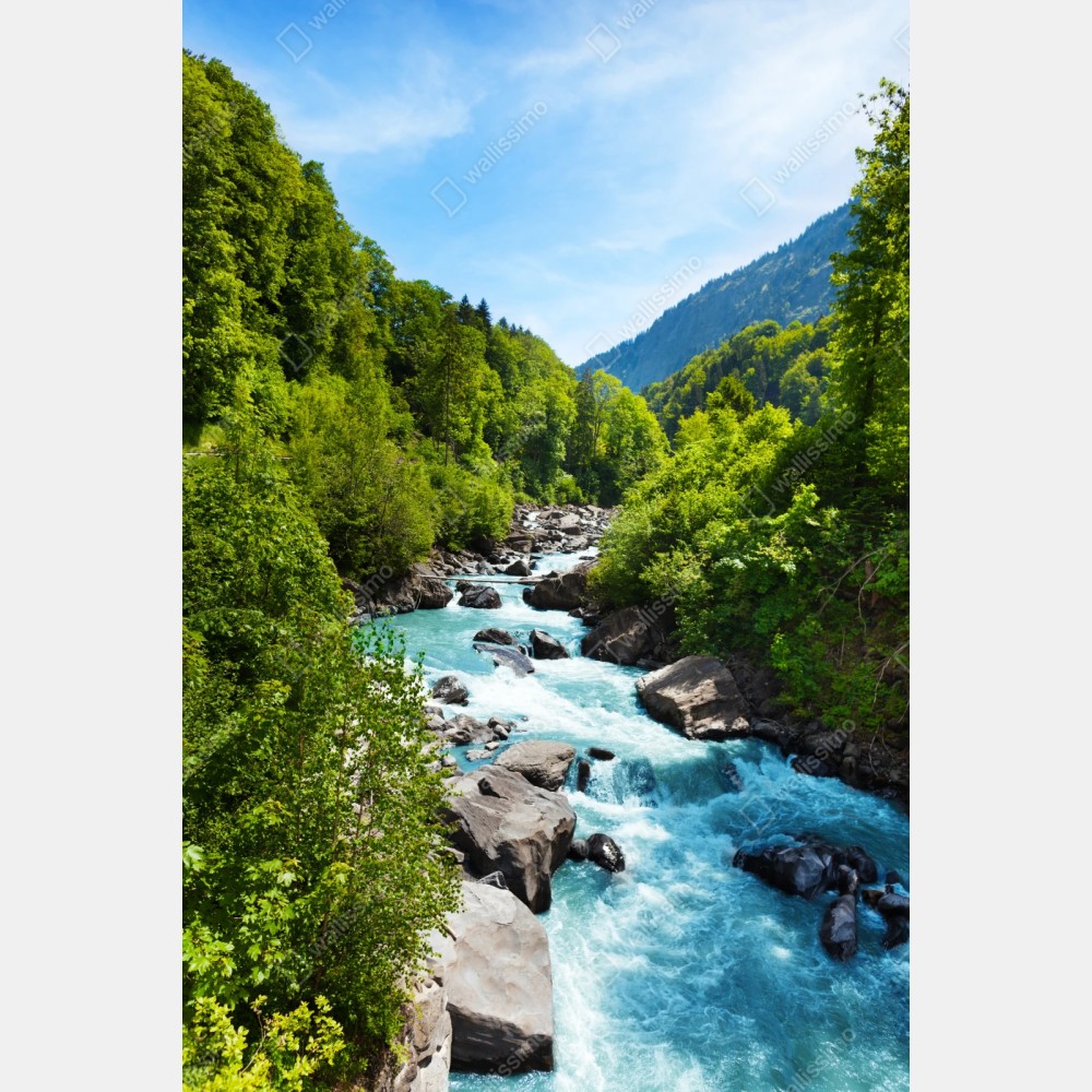 Repositionierbarer Aufkleber gletscherfluss im grünen tal – Wallnifity® Repositionierbarer Aufkleber gletscherfluss im grünen tal – Wallnifity®