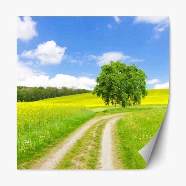 Repositionierbarer Aufkleber sonniger feldweg mit einsamem baum