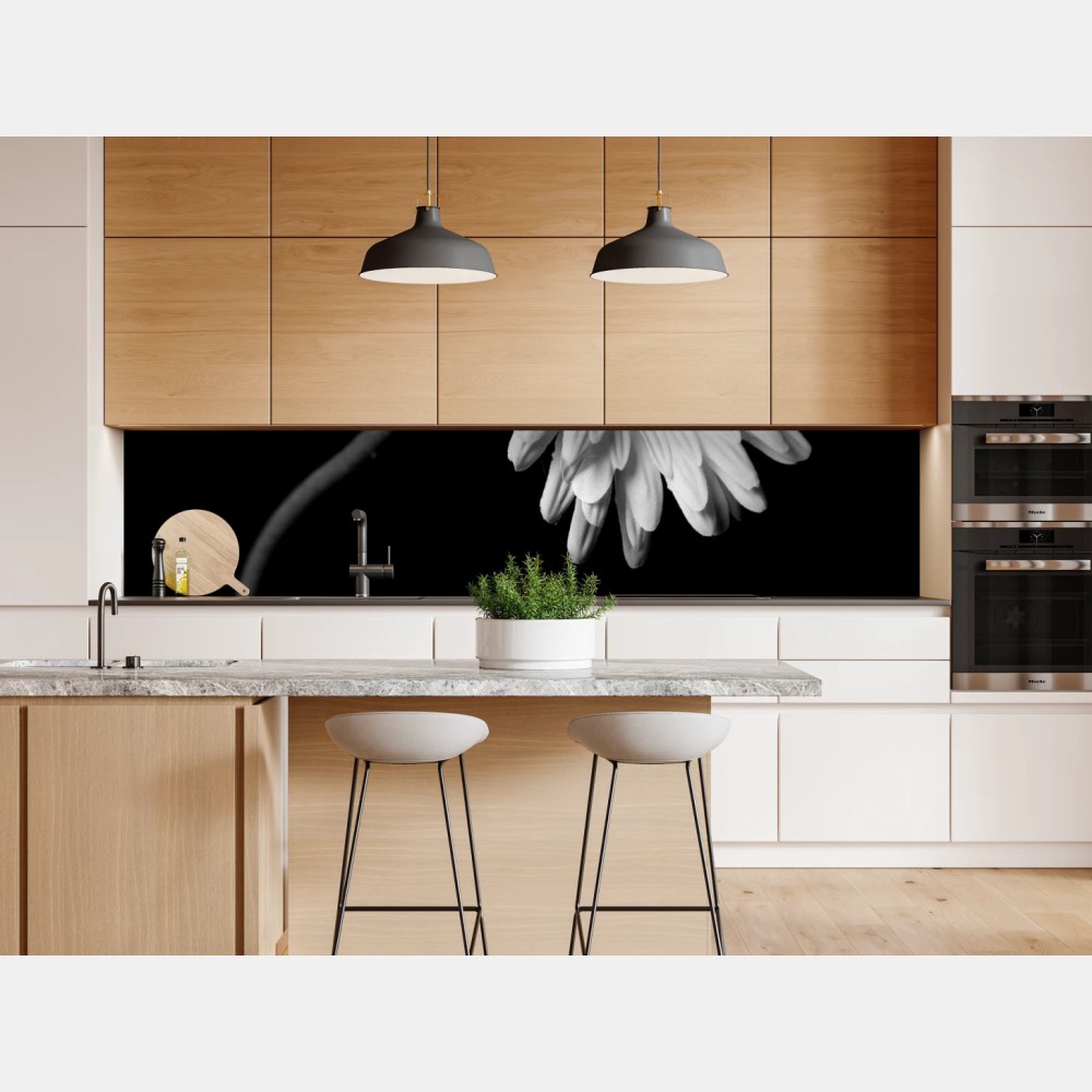 Repositionierbarer Aufkleber weiße gerbera vor schwarzem hintergrund – Wallnifity® Repositionierbarer Aufkleber weiße gerbera vor schwarzem hintergrund – Wallnifity®