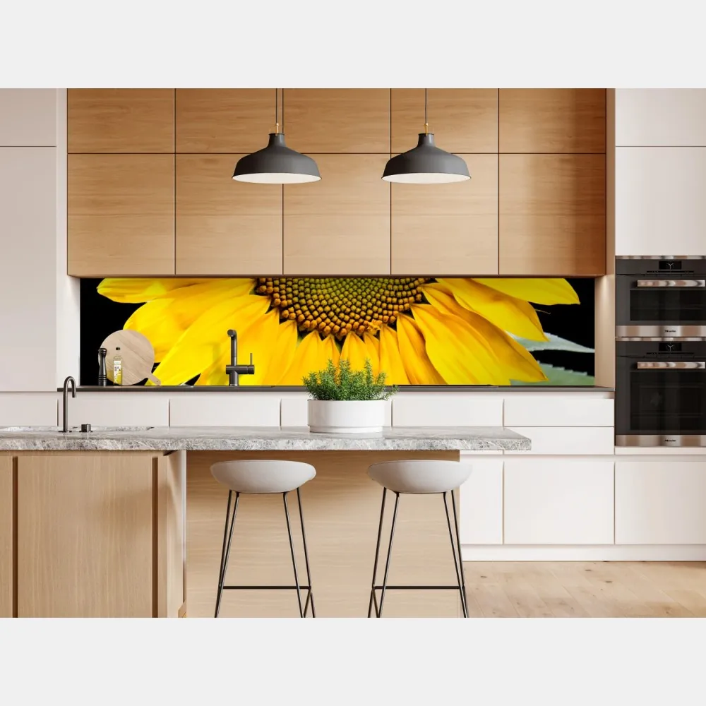 Repositionierbarer Aufkleber leuchtende sonnenblume vor schwarzem hintergrund – Wallnifity® Repositionierbarer Aufkleber leuchtende sonnenblume vor schwarzem hintergrund – Wallnifity®