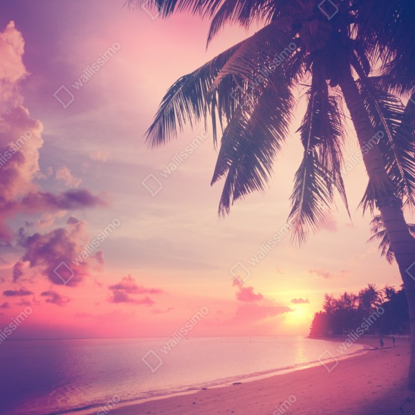 Repositionierbarer Aufkleber tropischer sonnenuntergang am strand – Wallnifity® Repositionierbarer Aufkleber tropischer sonnenuntergang am strand – Wallnifity®