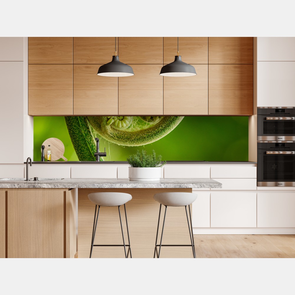 Repositionierbarer Aufkleber grüne farnknospe makroaufnahme – Wallnifity® Repositionierbarer Aufkleber grüne farnknospe makroaufnahme – Wallnifity®