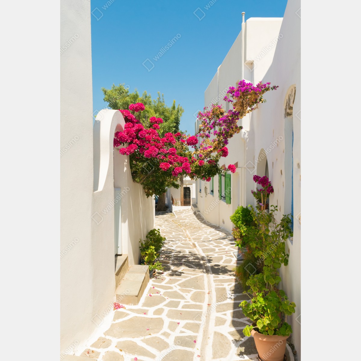 Repositionierbarer Aufkleber sonnige mediterrane gasse mit bougainvillea – Wallnifity® Repositionierbarer Aufkleber sonnige mediterrane gasse mit bougainvillea – Wallnifity®