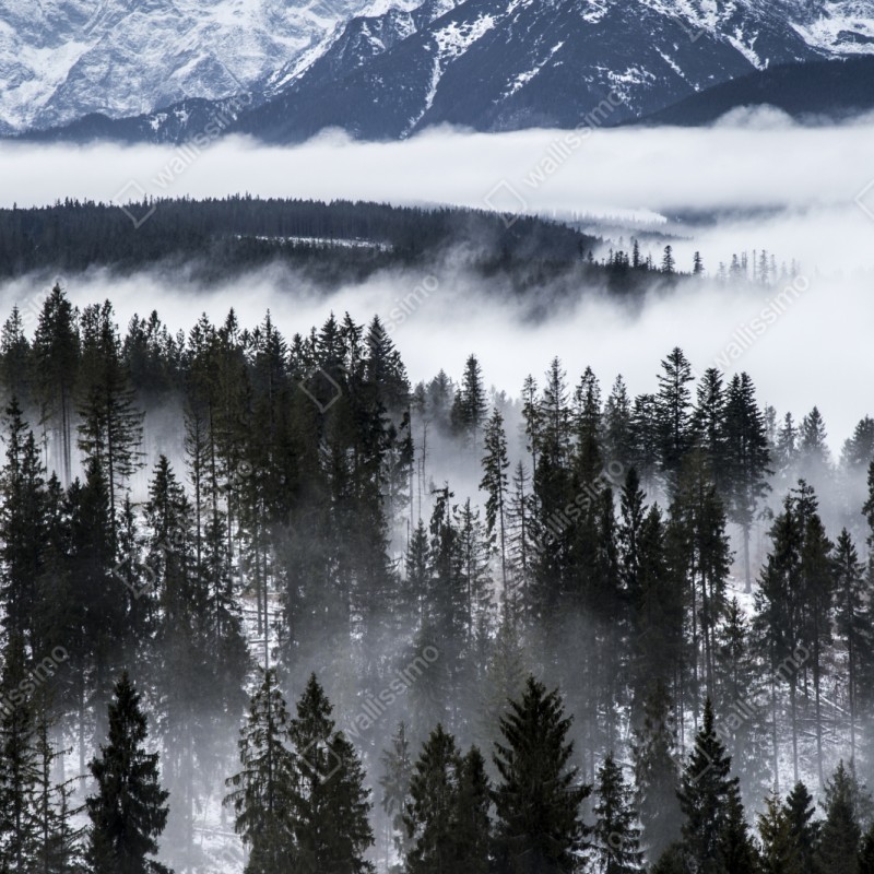 Repositionierbarer Aufkleber Tatra im winternebel – Wallnifity® Repositionierbarer Aufkleber Tatra im winternebel – Wallnifity®