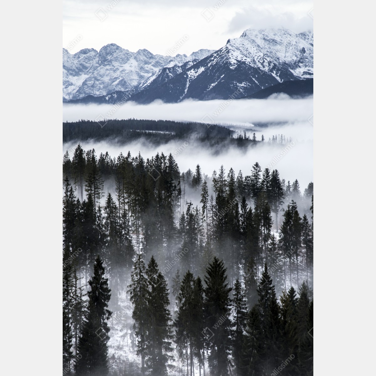 Repositionierbarer Aufkleber Tatra im winternebel – Wallnifity® Repositionierbarer Aufkleber Tatra im winternebel – Wallnifity®
