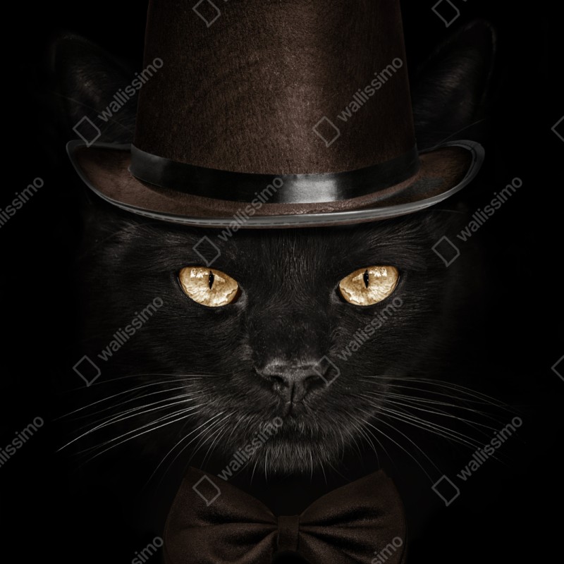 Repositionierbarer Aufkleber elegante schwarze katze mit zylinder und fliege – Wallnifity® Repositionierbarer Aufkleber elegante schwarze katze mit zylinder und fliege – Wallnifity®