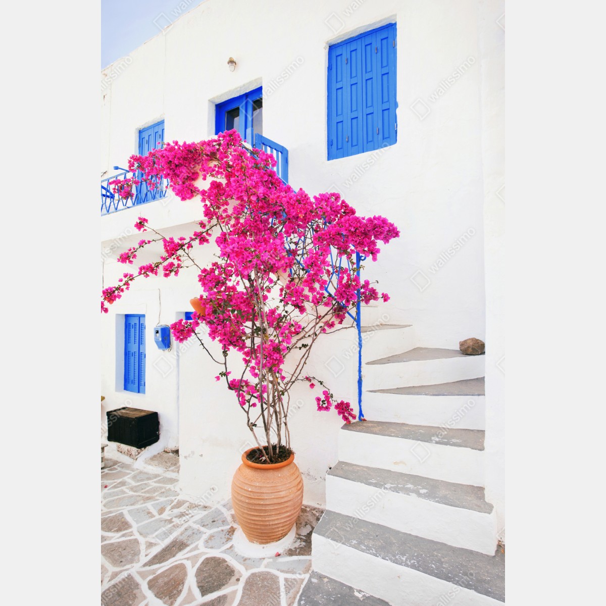 Repositionierbarer Aufkleber rosa bougainvillea vor weißem haus auf griechischer insel – Wallnifity® Repositionierbarer Aufkleber rosa bougainvillea vor weißem haus auf griechischer insel – Wallnifity®