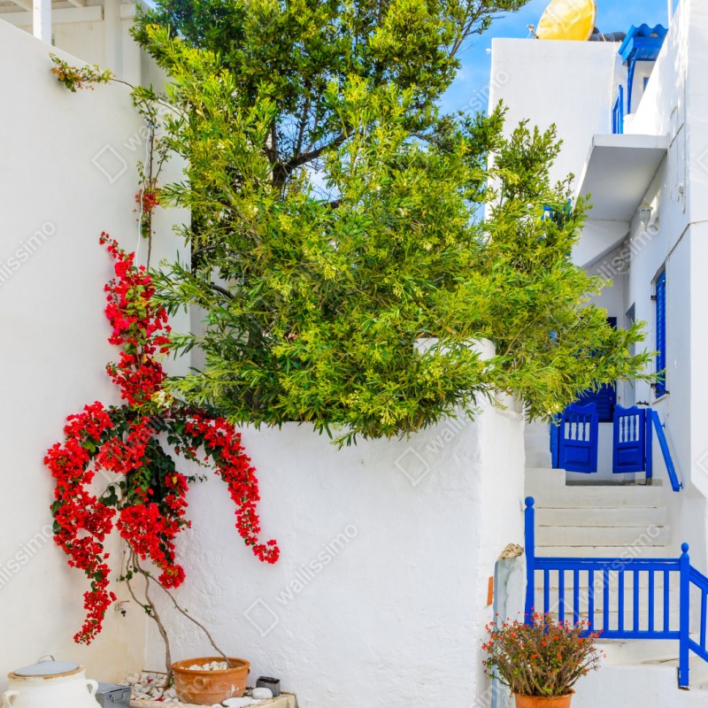 Repositionierbarer Aufkleber sonniger mediterraner innenhof mit bougainvillea – Wallnifity® Repositionierbarer Aufkleber sonniger mediterraner innenhof mit bougainvillea – Wallnifity®