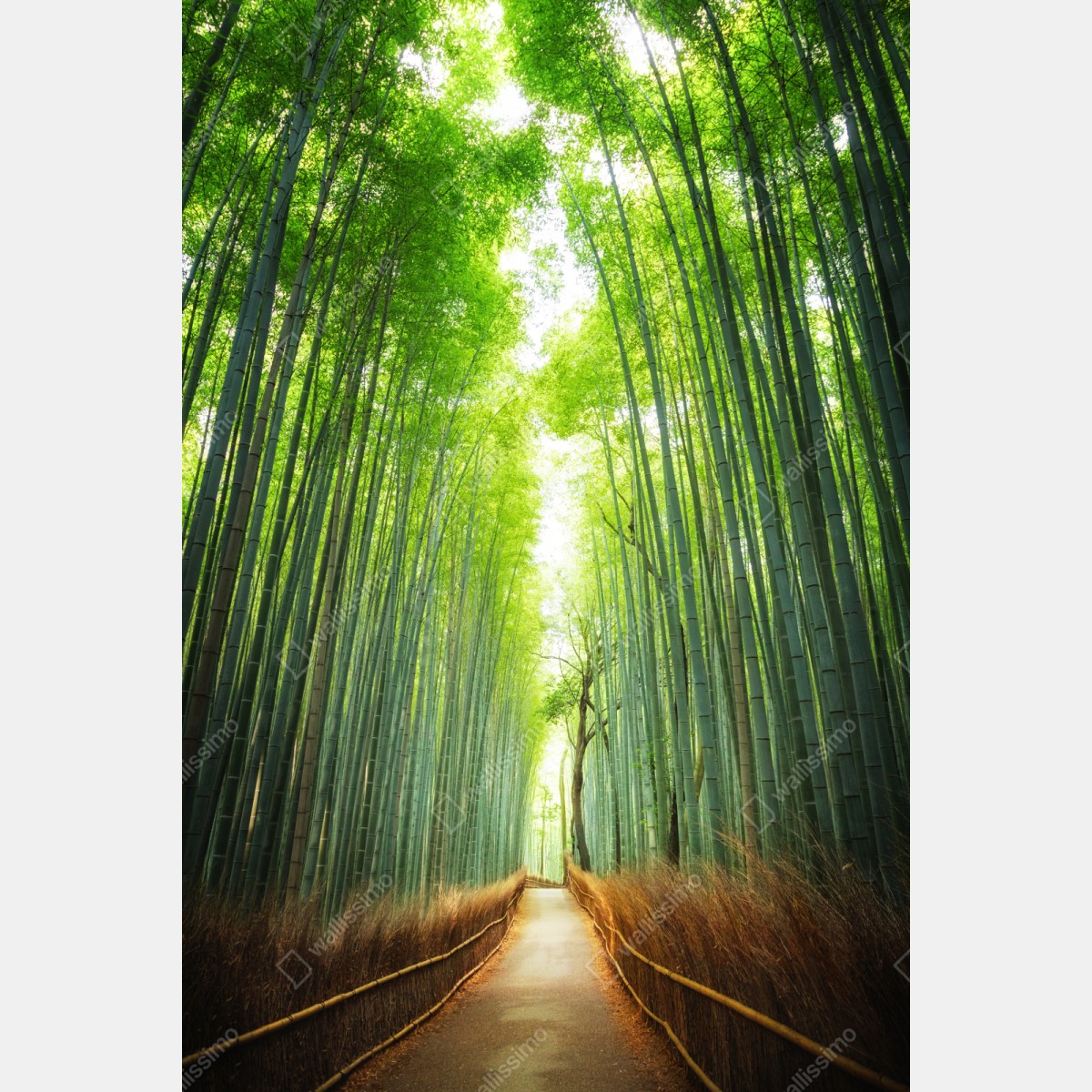 Repositionierbarer Aufkleber weg durch den bambushain von Arashiyama – Wallnifity® Repositionierbarer Aufkleber weg durch den bambushain von Arashiyama – Wallnifity®