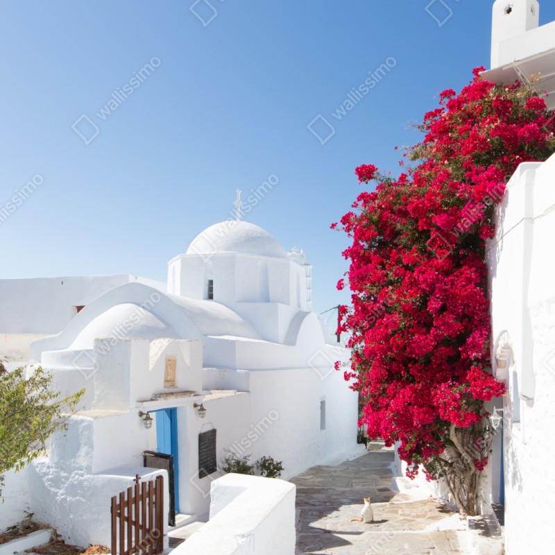 Repositionierbarer Aufkleber sonnige gasse auf der insel mit leuchtender buganvillea – Wallnifity® Repositionierbarer Aufkleber sonnige gasse auf der insel mit leuchtender buganvillea – Wallnifity®