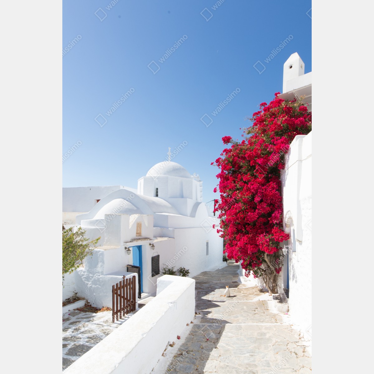 Repositionierbarer Aufkleber sonnige gasse auf der insel mit leuchtender buganvillea – Wallnifity® Repositionierbarer Aufkleber sonnige gasse auf der insel mit leuchtender buganvillea – Wallnifity®