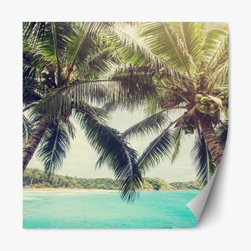 Repositionierbarer Aufkleber tropische kokospalmen am türkisfarbenen meer