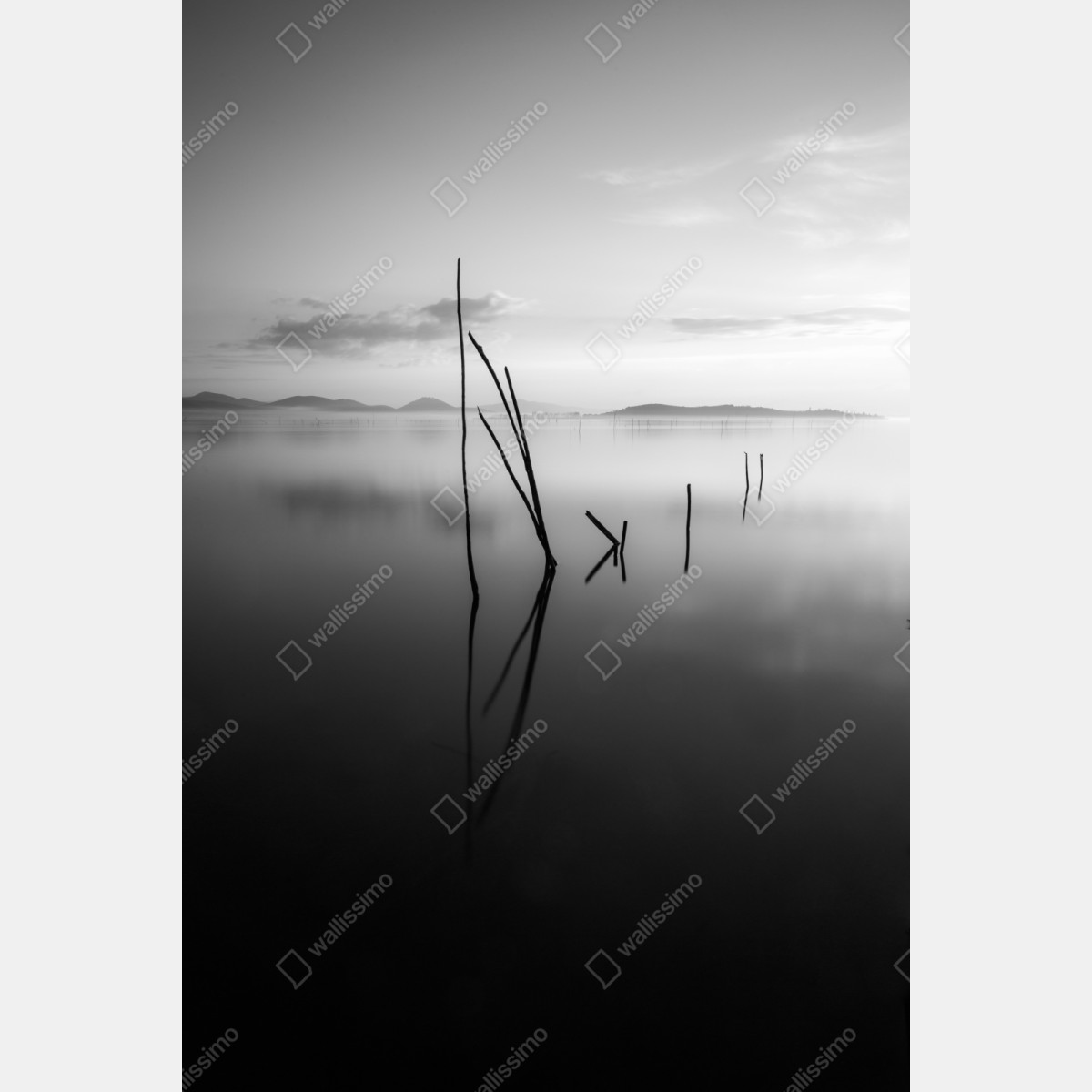 Repositionierbarer Aufkleber ruhiger monochromer see mit reflexionen – Wallnifity® Repositionierbarer Aufkleber ruhiger monochromer see mit reflexionen – Wallnifity®