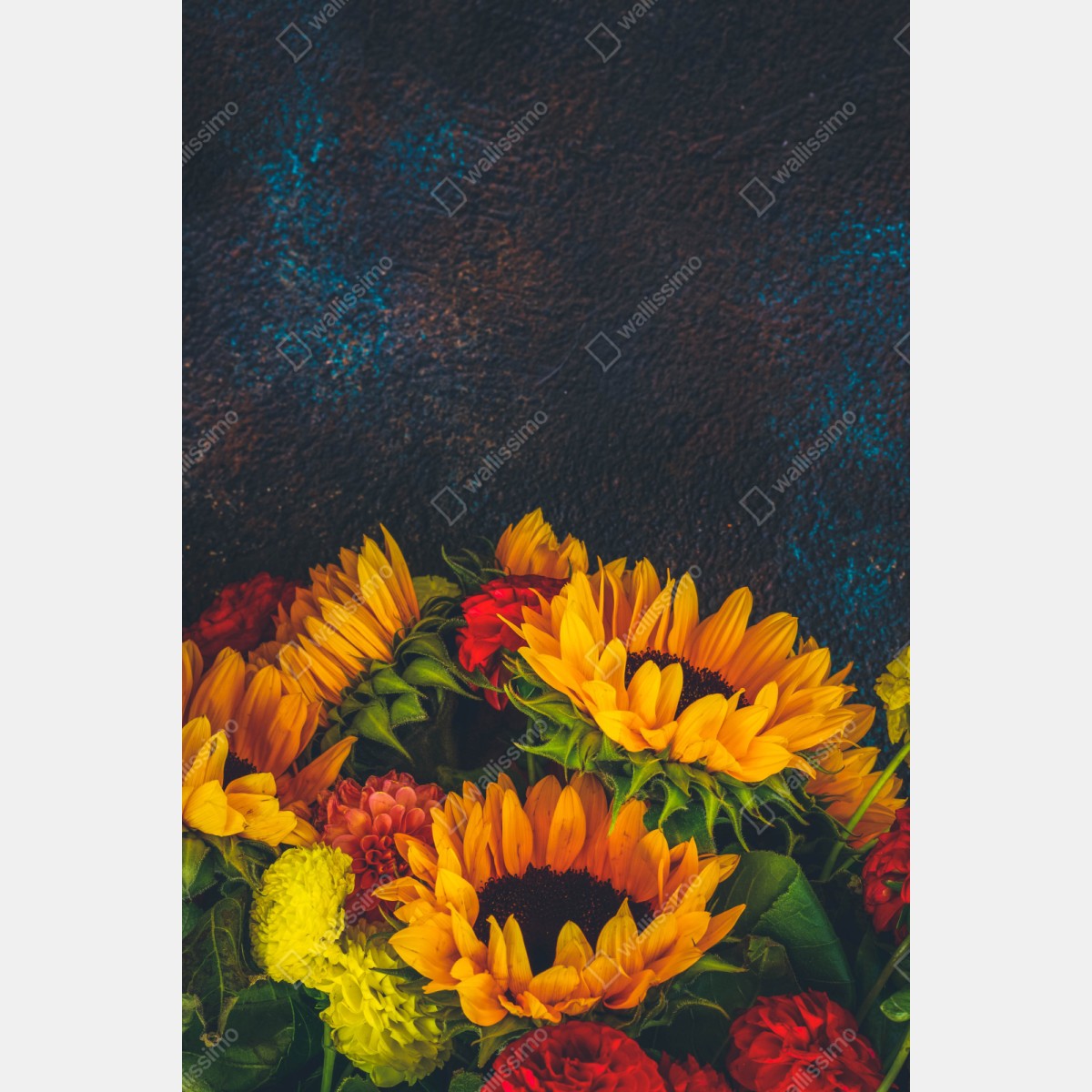 Repositionierbarer Aufkleber lebendiger sonnenblumenstrauß vor dunklem hintergrund – Wallnifity® Repositionierbarer Aufkleber lebendiger sonnenblumenstrauß vor dunklem hintergrund – Wallnifity®