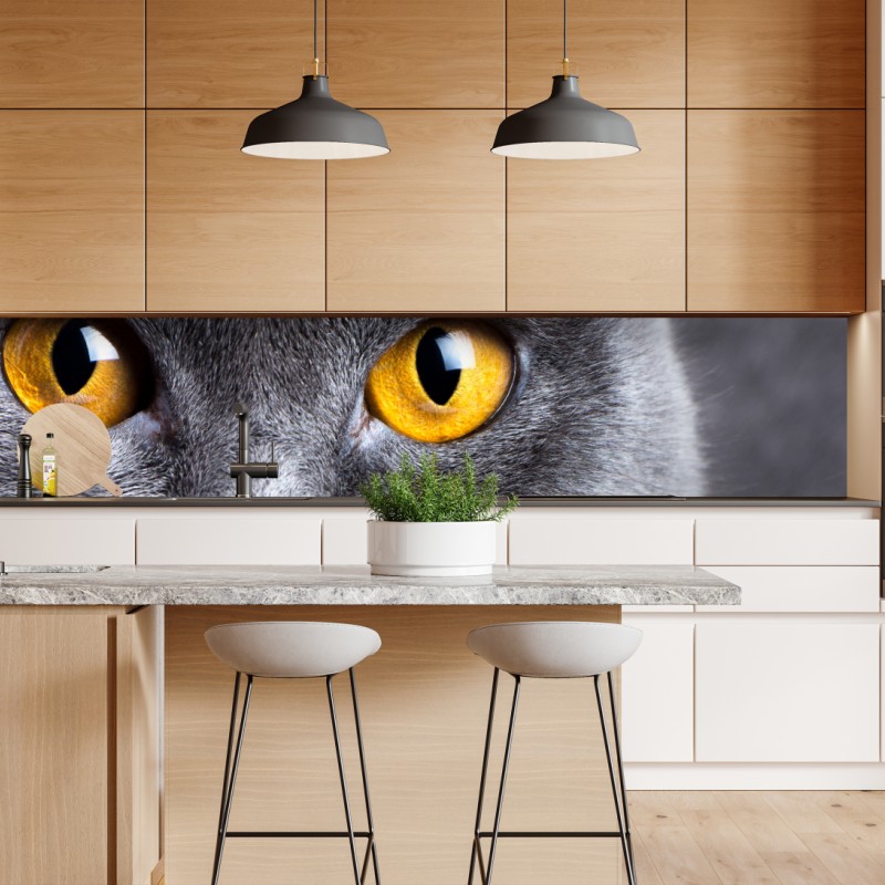 Repositionierbarer Aufkleber ausdrucksstarkes porträt einer grauen katze mit goldenen augen – Wallnifity® Repositionierbarer Aufkleber ausdrucksstarkes porträt einer grauen katze mit goldenen augen – Wallnifity®