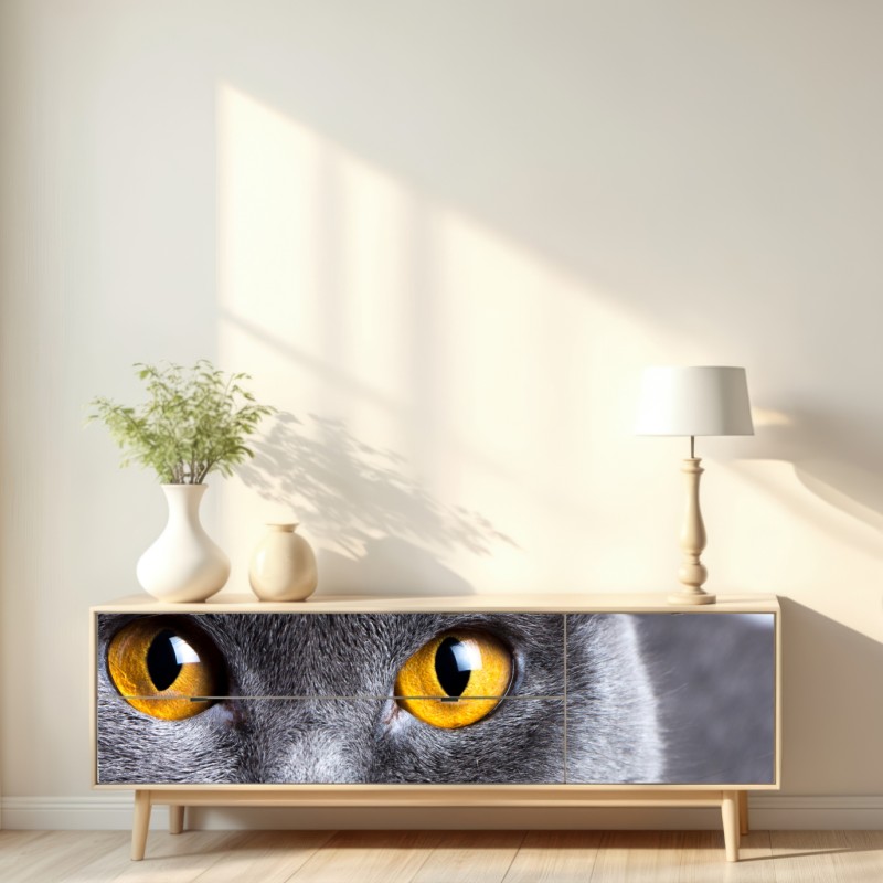 Repositionierbarer Aufkleber ausdrucksstarkes porträt einer grauen katze mit goldenen augen – Wallnifity® Repositionierbarer Aufkleber ausdrucksstarkes porträt einer grauen katze mit goldenen augen – Wallnifity®
