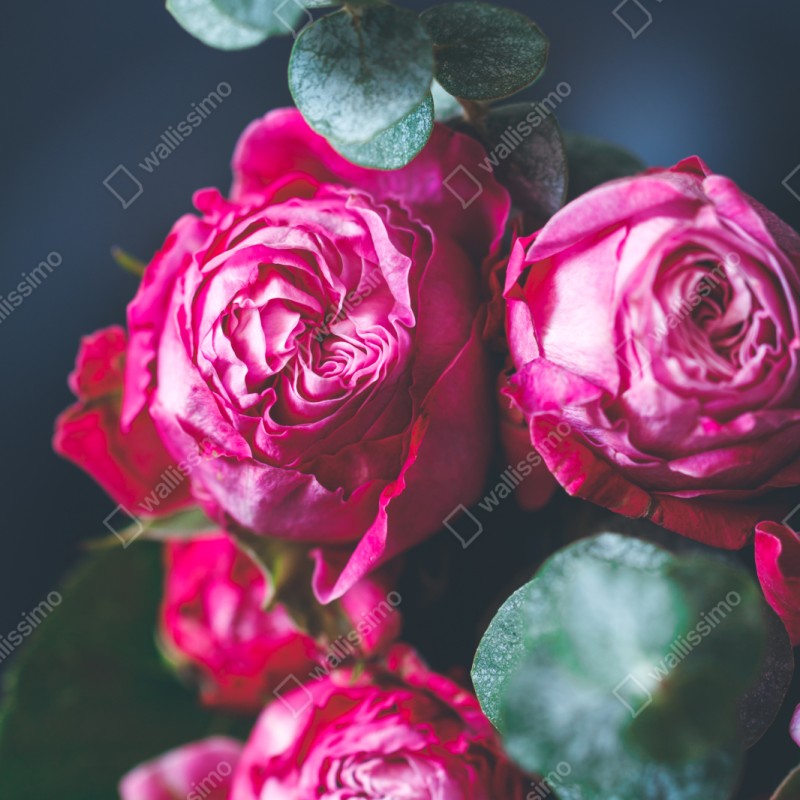 Repositionierbarer Aufkleber rosenbouquet makroaufnahme – Wallnifity® Repositionierbarer Aufkleber rosenbouquet makroaufnahme – Wallnifity®