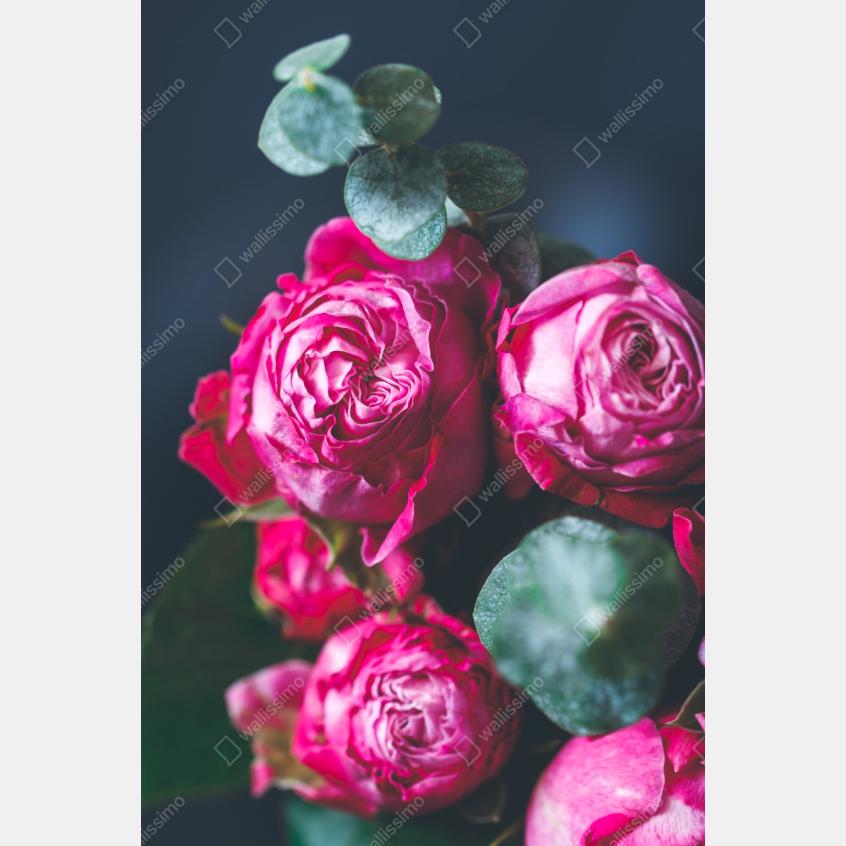 Repositionierbarer Aufkleber rosenbouquet makroaufnahme – Wallnifity® Repositionierbarer Aufkleber rosenbouquet makroaufnahme – Wallnifity®