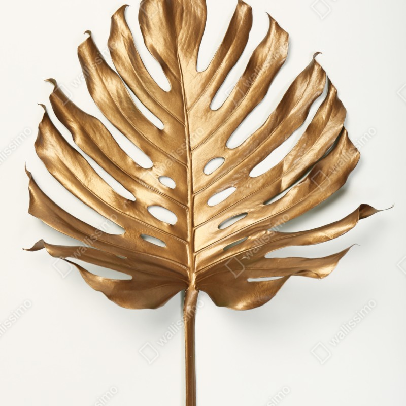 Repositionierbarer Aufkleber goldenes monstera blatt auf weißem hintergrund – Wallnifity® Repositionierbarer Aufkleber goldenes monstera blatt auf weißem hintergrund – Wallnifity®