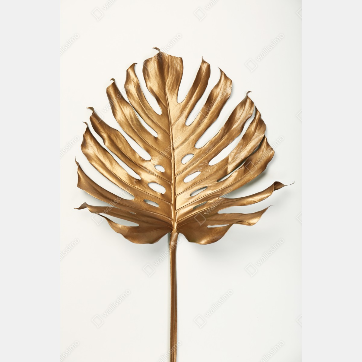 Repositionierbarer Aufkleber goldenes monstera blatt auf weißem hintergrund – Wallnifity® Repositionierbarer Aufkleber goldenes monstera blatt auf weißem hintergrund – Wallnifity®