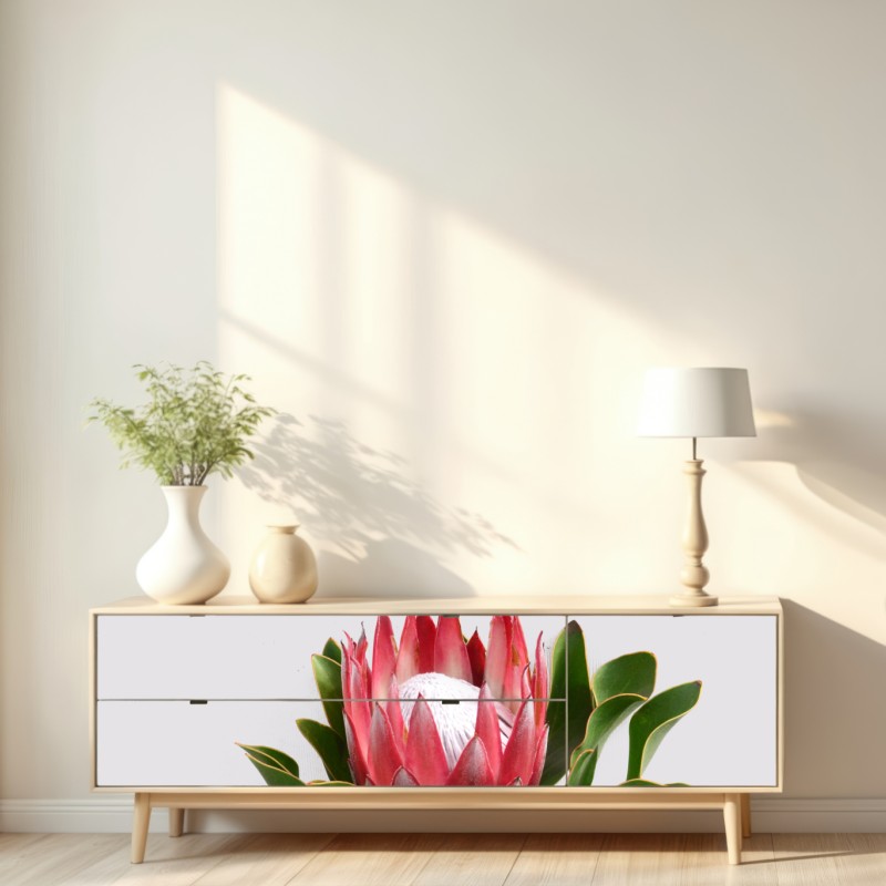 Repositionierbarer Aufkleber rosa protea auf neutralem hintergrund – Wallnifity® Repositionierbarer Aufkleber rosa protea auf neutralem hintergrund – Wallnifity®