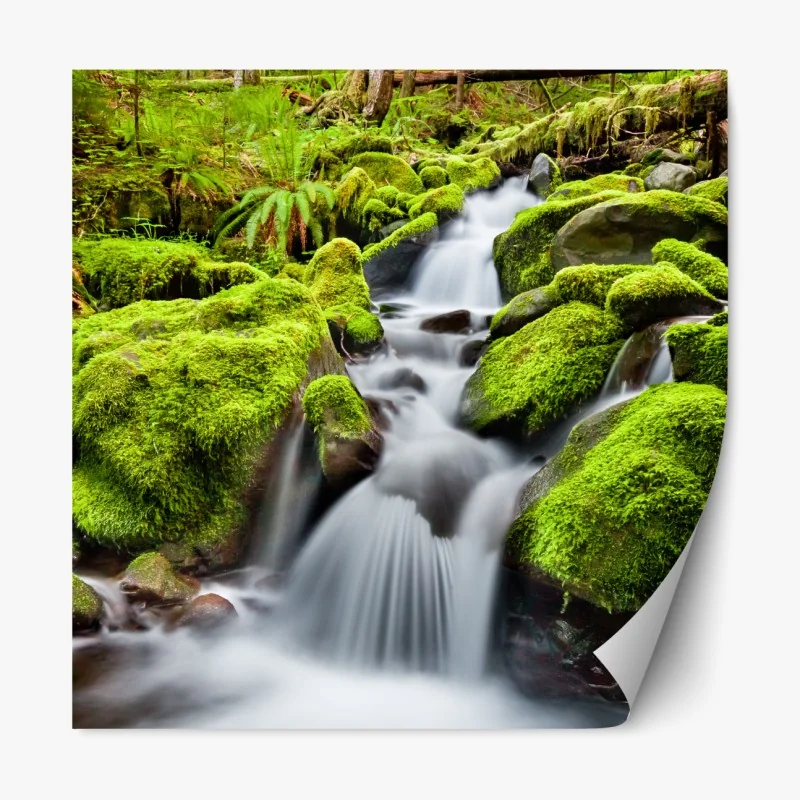 Repositionierbarer Aufkleber moosbedeckter bach bei Sol Duc Falls