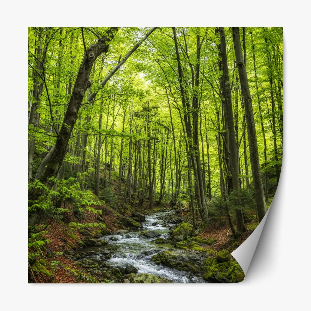Repositionierbarer Aufkleber ruhiger grüner waldbach – Wallnifity® Repositionierbarer Aufkleber ruhiger grüner waldbach – Wallnifity®