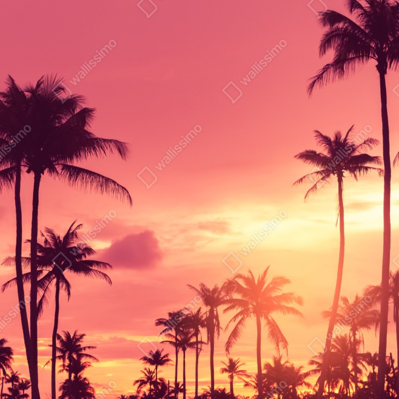 Repositionierbarer Aufkleber rosa tropischer sonnenuntergang mit palmen – Wallnifity® Repositionierbarer Aufkleber rosa tropischer sonnenuntergang mit palmen – Wallnifity®