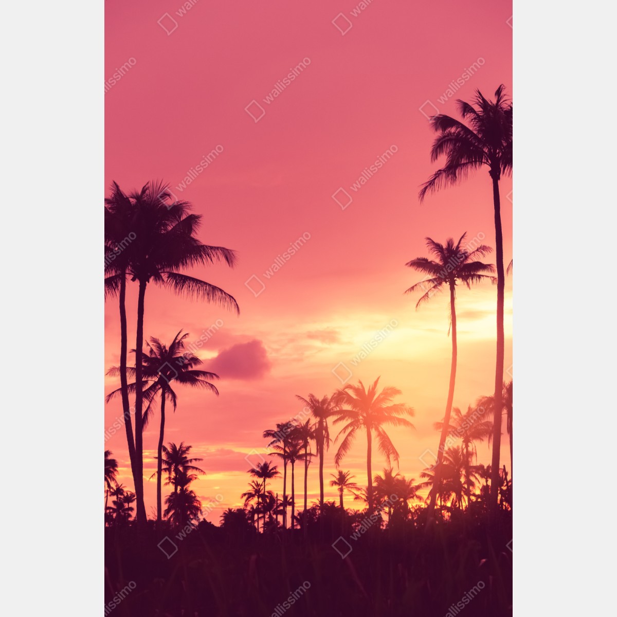 Repositionierbarer Aufkleber rosa tropischer sonnenuntergang mit palmen – Wallnifity® Repositionierbarer Aufkleber rosa tropischer sonnenuntergang mit palmen – Wallnifity®