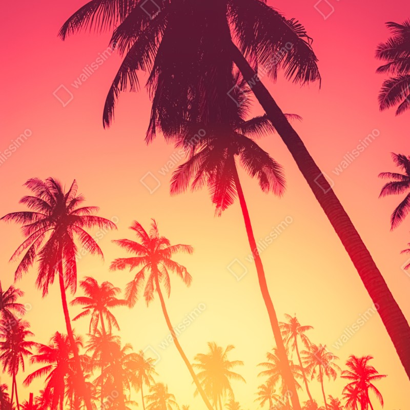 Repositionierbarer Aufkleber tropischer sonnenuntergang mit palmen – Wallnifity® Repositionierbarer Aufkleber tropischer sonnenuntergang mit palmen – Wallnifity®