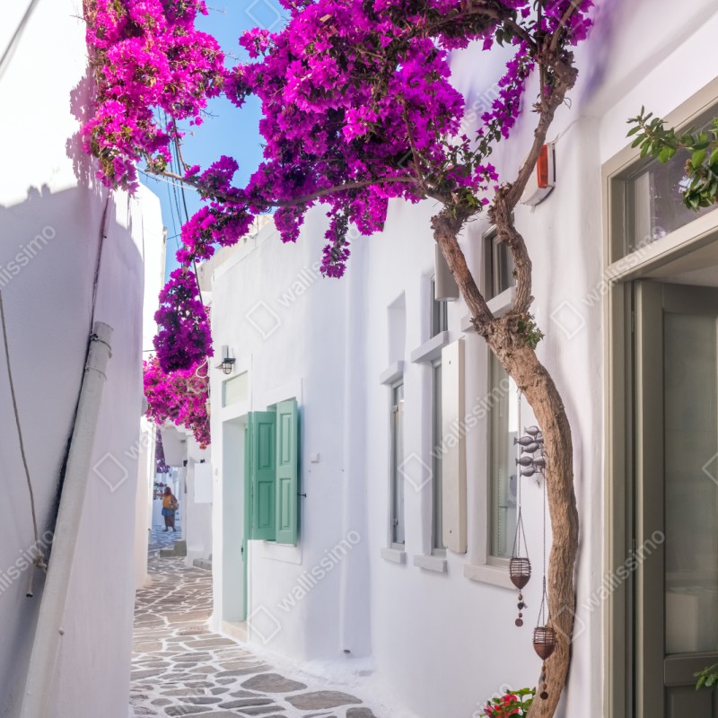 Repositionierbarer Aufkleber sonnige mediterrane gasse mit bougainvillea – Wallnifity® Repositionierbarer Aufkleber sonnige mediterrane gasse mit bougainvillea – Wallnifity®