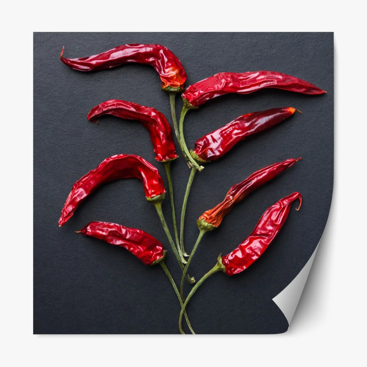 Repositionierbarer Aufkleber kulinarische grafik mit roten chilischoten – Wallnifity® Repositionierbarer Aufkleber kulinarische grafik mit roten chilischoten – Wallnifity®