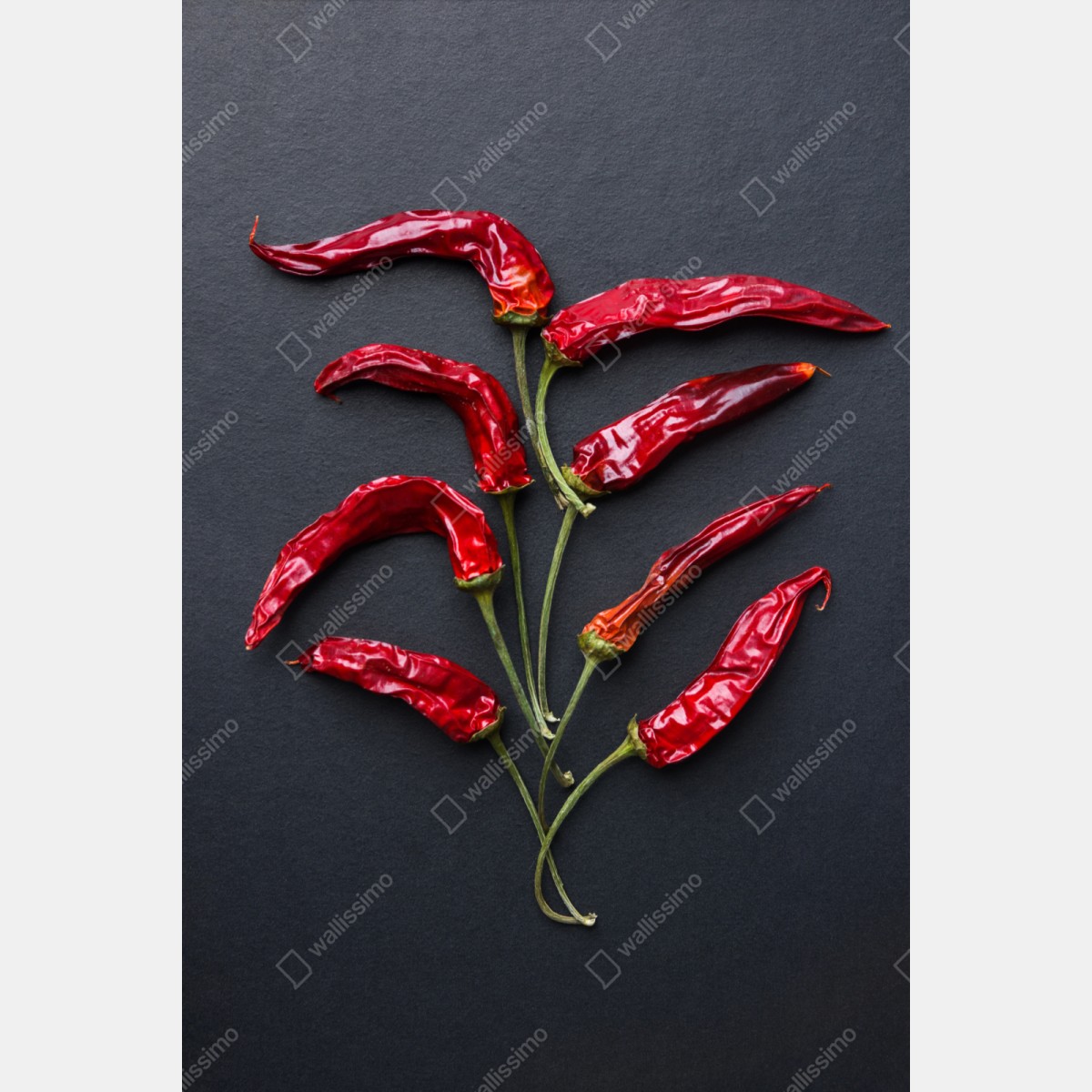 Repositionierbarer Aufkleber kulinarische grafik mit roten chilischoten – Wallnifity® Repositionierbarer Aufkleber kulinarische grafik mit roten chilischoten – Wallnifity®