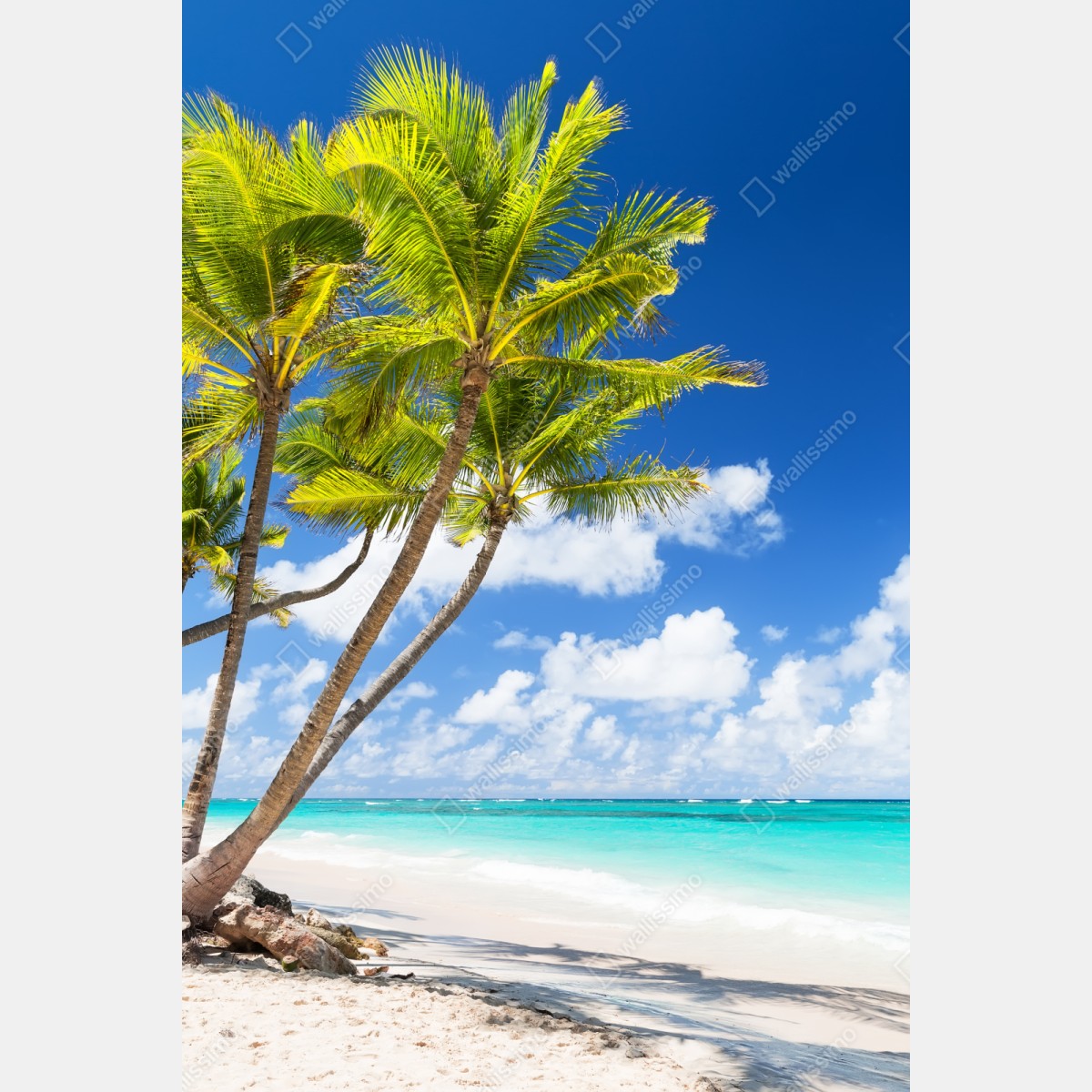 Repositionierbarer Aufkleber tropischer palmstrand in Punta Cana – Wallnifity® Repositionierbarer Aufkleber tropischer palmstrand in Punta Cana – Wallnifity®