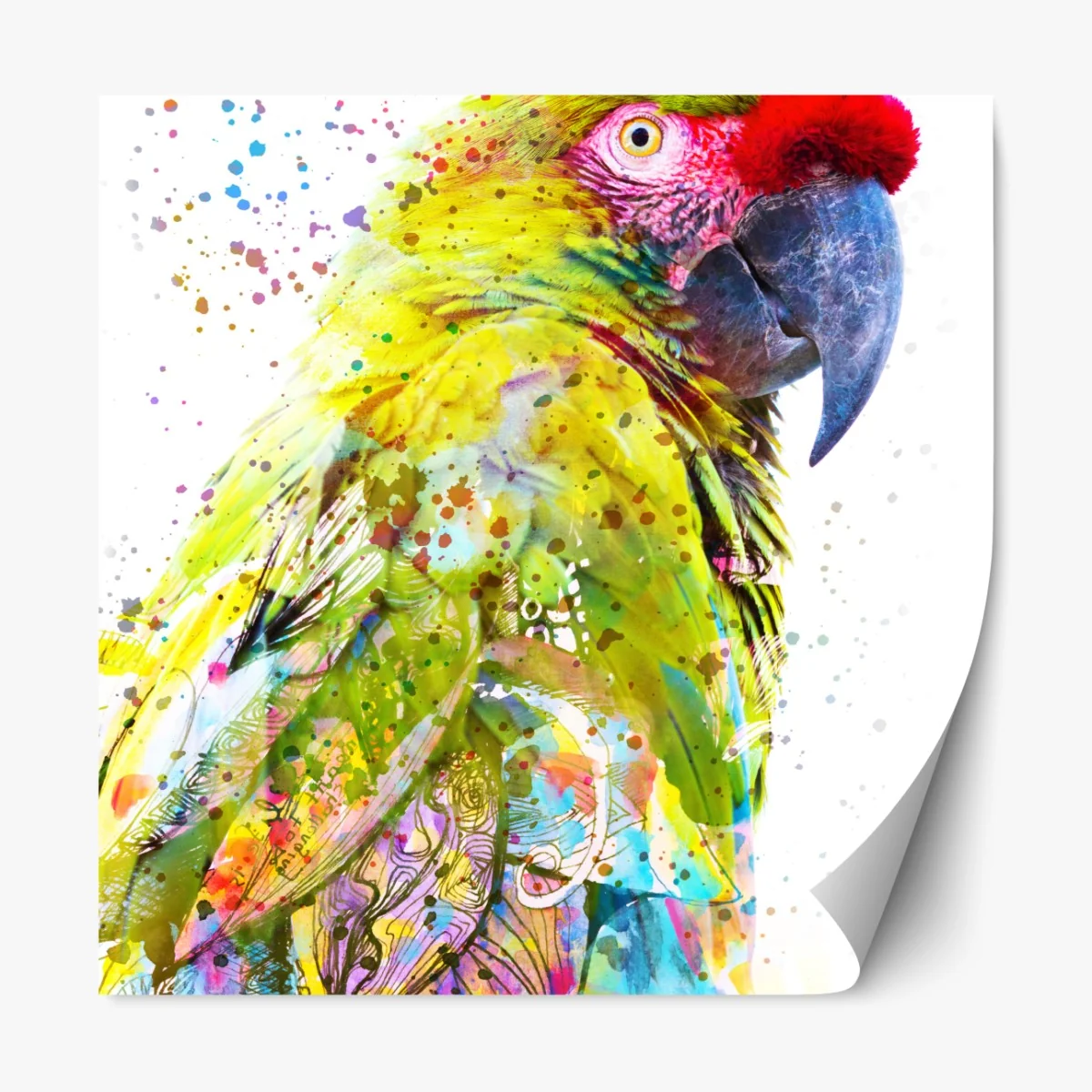 Repositionierbarer Aufkleber lebhaftes aquarell-porträt eines papageis – Wallnifity® Repositionierbarer Aufkleber lebhaftes aquarell-porträt eines papageis – Wallnifity®