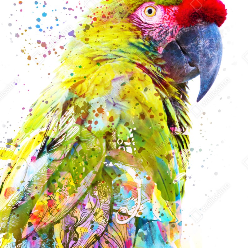 Repositionierbarer Aufkleber lebhaftes aquarell-porträt eines papageis – Wallnifity® Repositionierbarer Aufkleber lebhaftes aquarell-porträt eines papageis – Wallnifity®