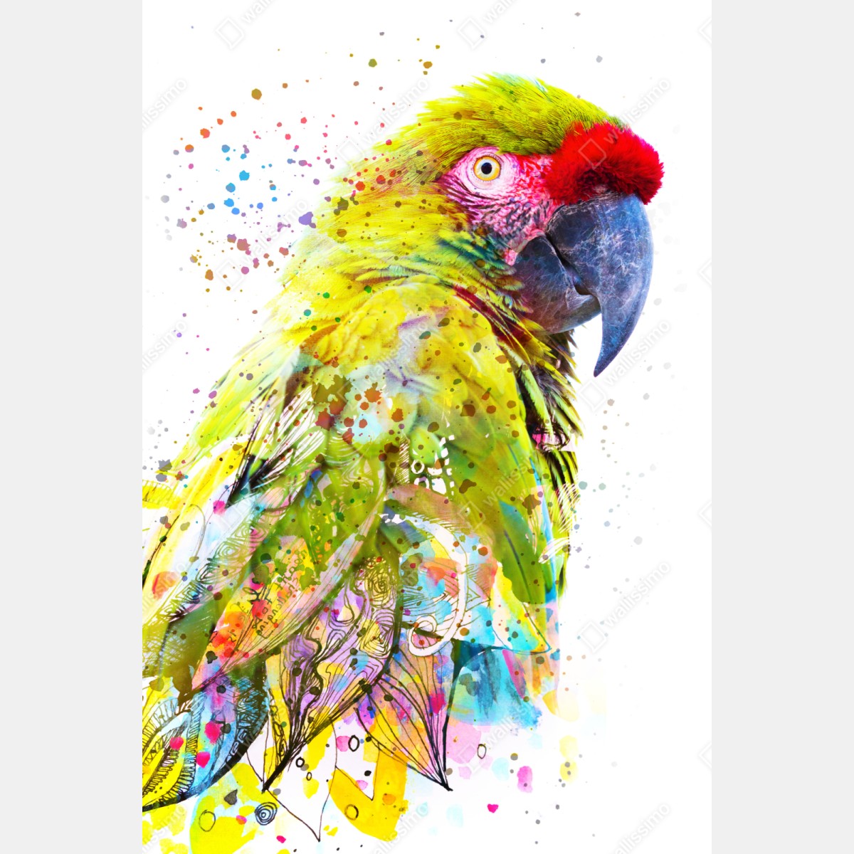 Repositionierbarer Aufkleber lebhaftes aquarell-porträt eines papageis – Wallnifity® Repositionierbarer Aufkleber lebhaftes aquarell-porträt eines papageis – Wallnifity®
