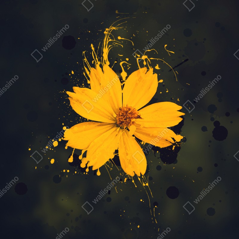 Repositionierbarer Aufkleber leuchtende gelbe blüte auf dunklem hintergrund – Wallnifity® Repositionierbarer Aufkleber leuchtende gelbe blüte auf dunklem hintergrund – Wallnifity®