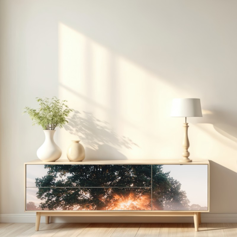 Repositionierbarer Aufkleber nebeliger sonnenaufgang am eichenbaum – Wallnifity® Repositionierbarer Aufkleber nebeliger sonnenaufgang am eichenbaum – Wallnifity®