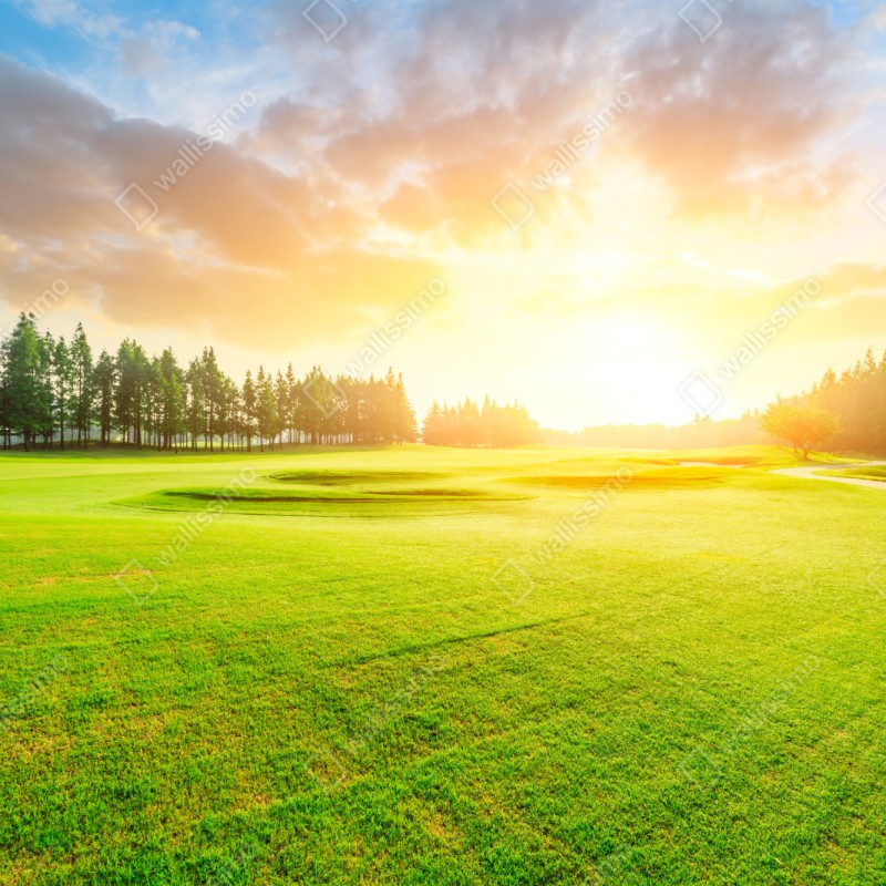 Repositionierbarer Aufkleber sonnenbeschienene wiese und wald bei sonnenaufgang – Wallnifity® Repositionierbarer Aufkleber sonnenbeschienene wiese und wald bei sonnenaufgang – Wallnifity®