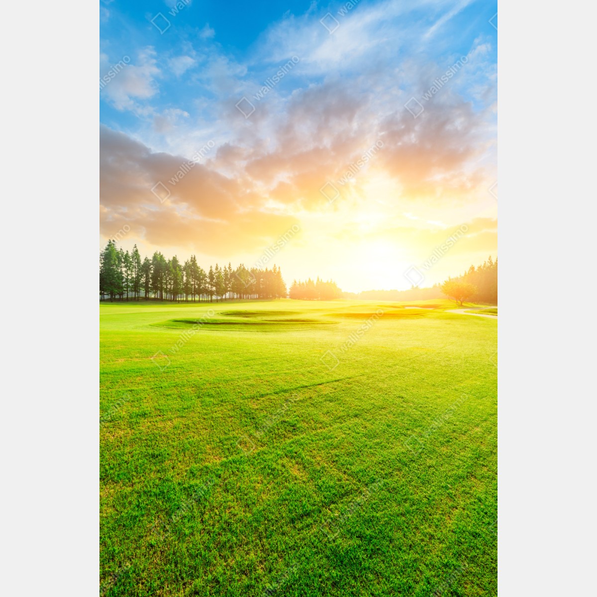 Repositionierbarer Aufkleber sonnenbeschienene wiese und wald bei sonnenaufgang – Wallnifity® Repositionierbarer Aufkleber sonnenbeschienene wiese und wald bei sonnenaufgang – Wallnifity®