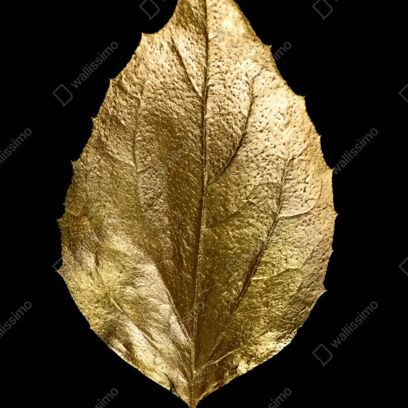 Repositionierbarer Aufkleber goldenes blatt auf schwarzem hintergrund – Wallnifity® Repositionierbarer Aufkleber goldenes blatt auf schwarzem hintergrund – Wallnifity®