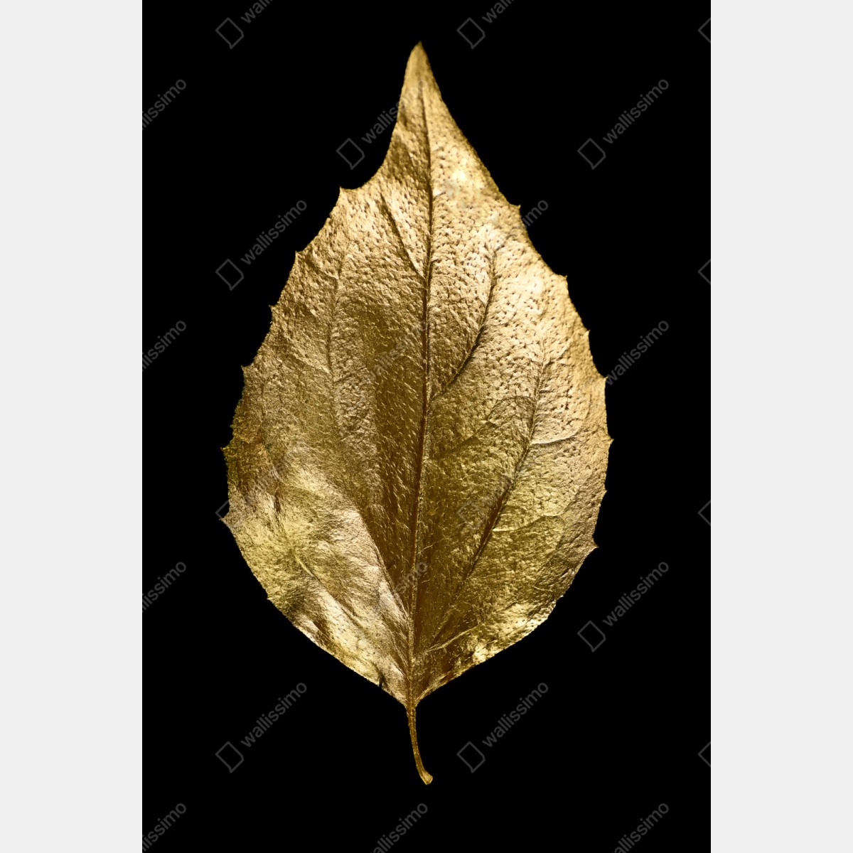 Repositionierbarer Aufkleber goldenes blatt auf schwarzem hintergrund – Wallnifity® Repositionierbarer Aufkleber goldenes blatt auf schwarzem hintergrund – Wallnifity®