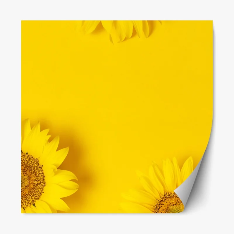 Repositionierbarer Aufkleber drei sonnenblumen auf gelbem hintergrund – Wallnifity® Repositionierbarer Aufkleber drei sonnenblumen auf gelbem hintergrund – Wallnifity®