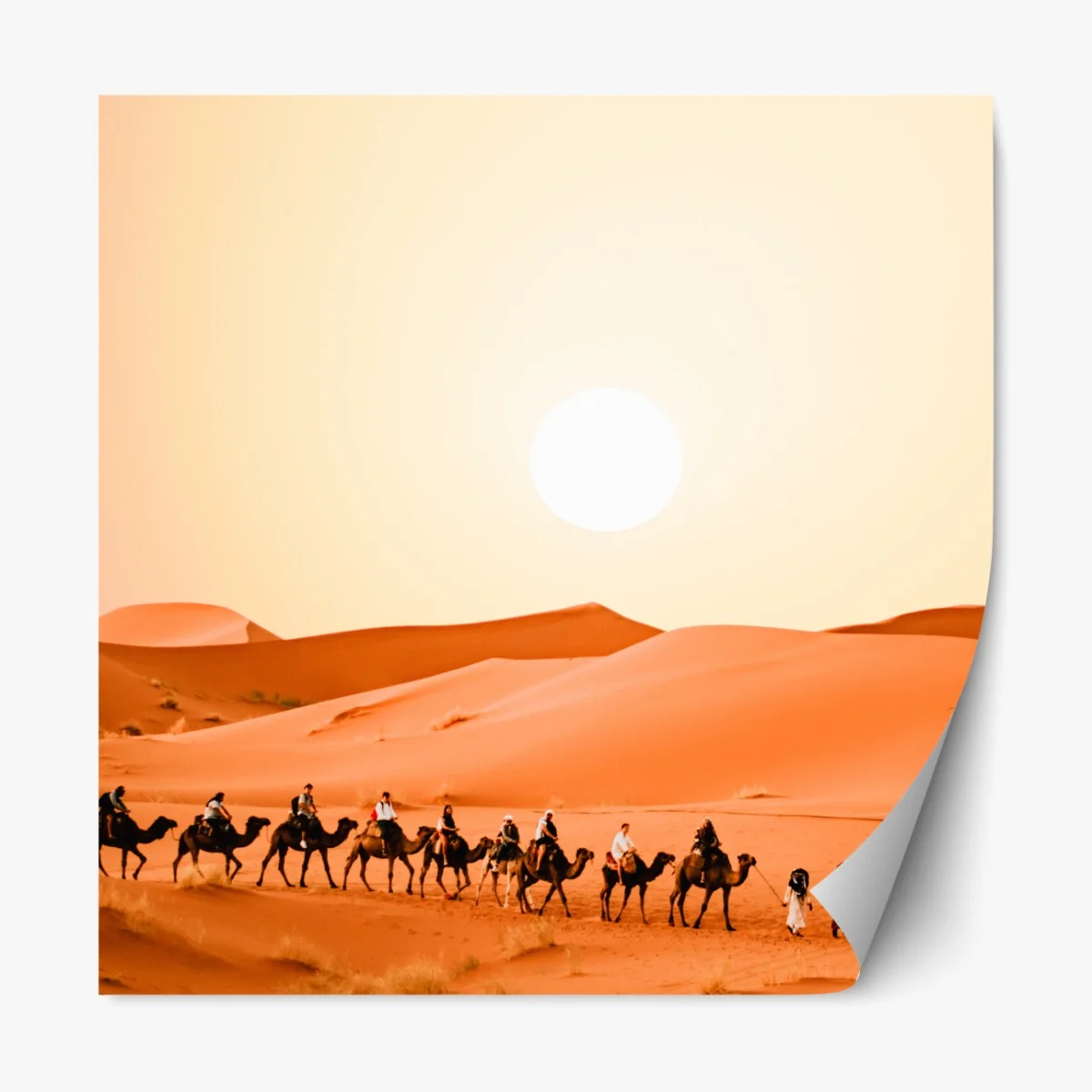 Repositionierbarer Aufkleber karawane von kamelen in der wüste bei sonnenuntergang – Wallnifity® Repositionierbarer Aufkleber karawane von kamelen in der wüste bei sonnenuntergang – Wallnifity®