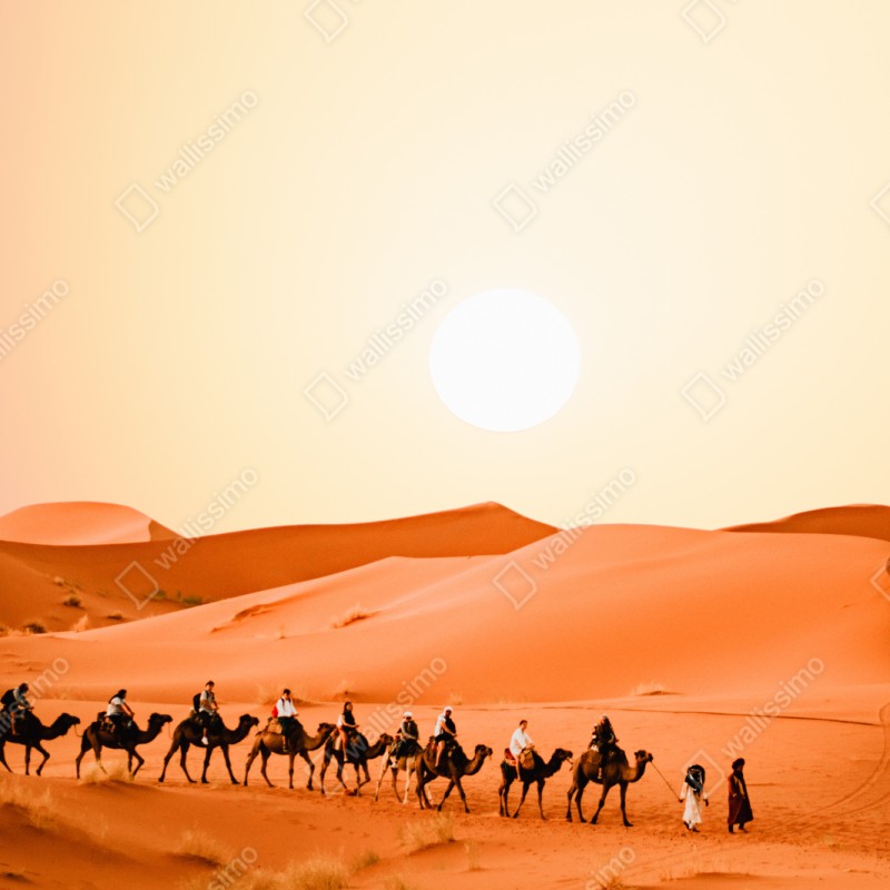 Repositionierbarer Aufkleber karawane von kamelen in der wüste bei sonnenuntergang – Wallnifity® Repositionierbarer Aufkleber karawane von kamelen in der wüste bei sonnenuntergang – Wallnifity®